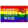 Generique Drapeau Rainbow Love Always Wins 90 x 150cm